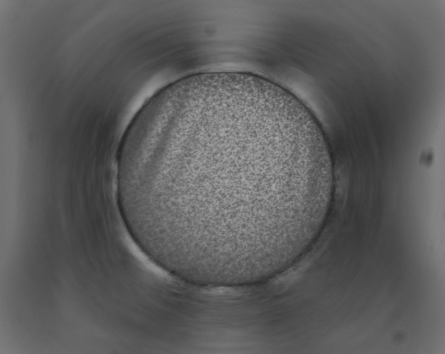 X0000092321476200710121513