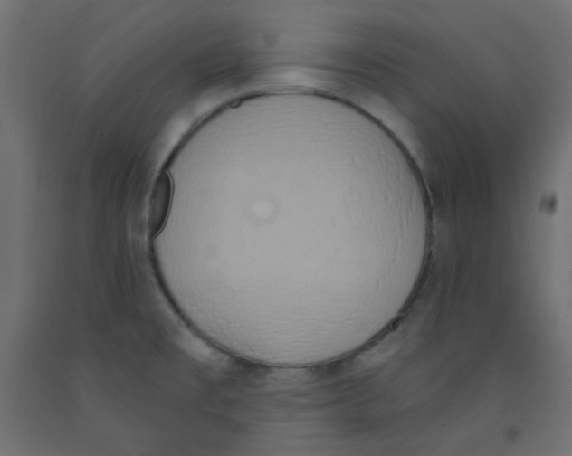 X0000092321477200710121513