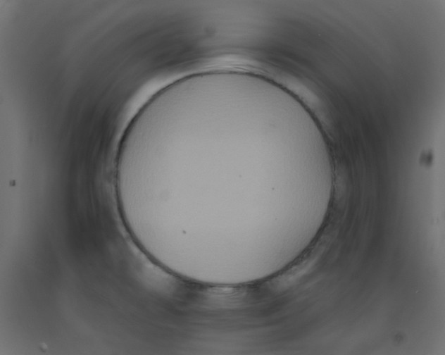 X0000092321478200710121513