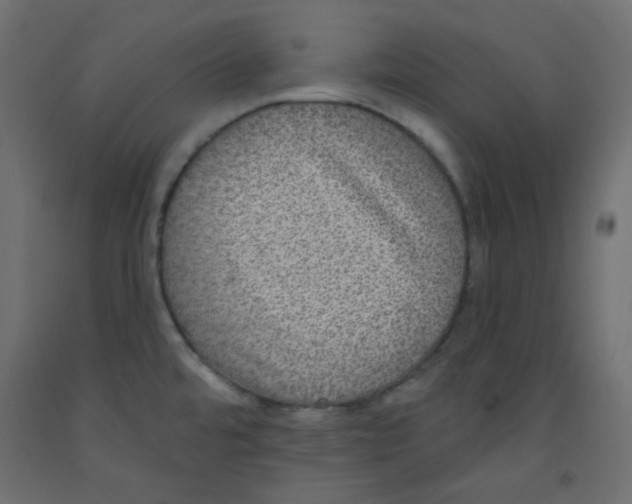 X0000092321480200710121513