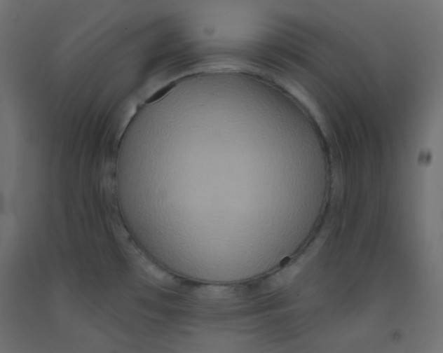 X0000092321481200710121513