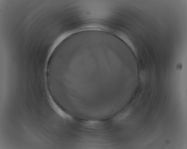 X0000092321482200710121513