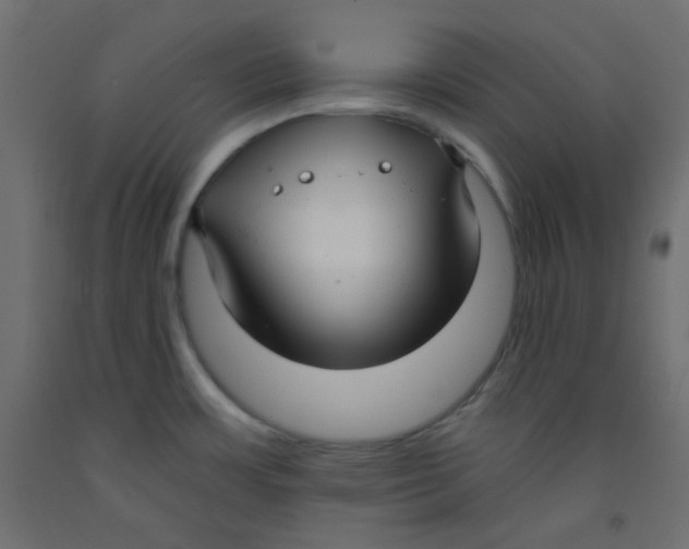 X0000092321483200710121513
