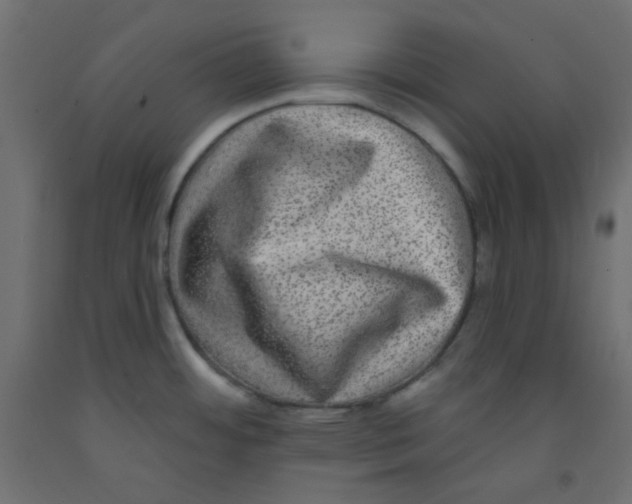 X0000092321484200710121513