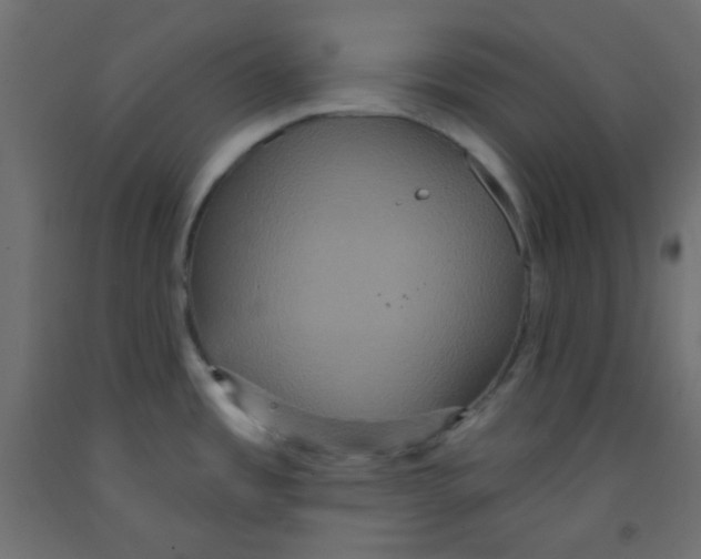 X0000092321485200710121513