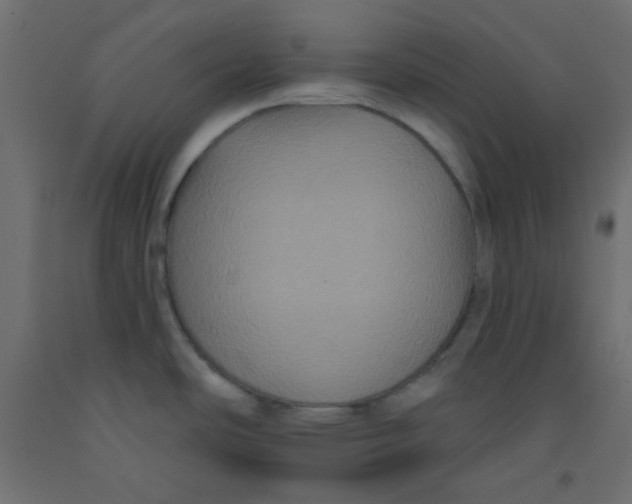 X0000092321486200710121513