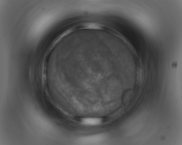 X0000092321487200710121513