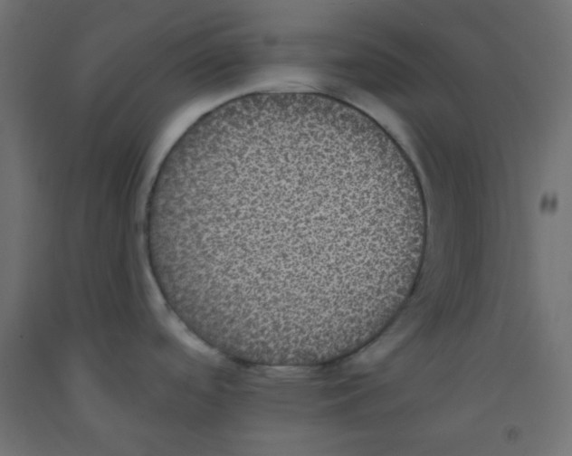 X0000092321488200710121513
