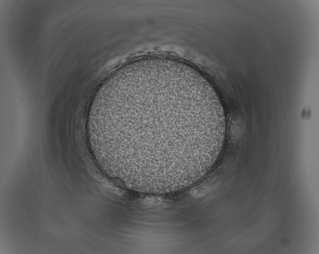 X0000092321489200710121512