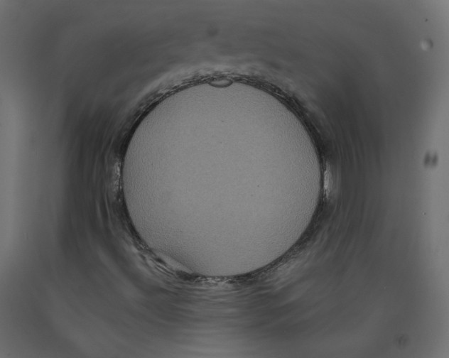 X0000092321492200710121512