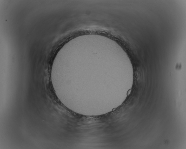 X0000092321493200710121512