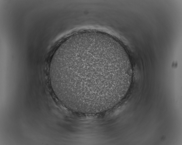 X0000092321494200710121512