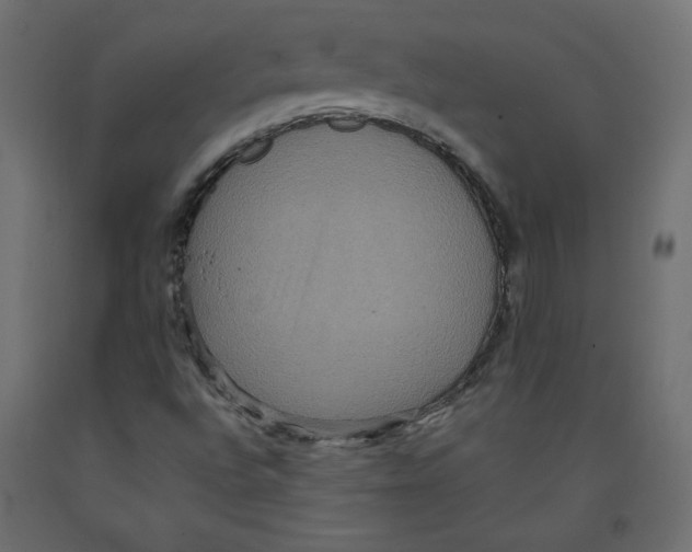 X0000092321496200710121512