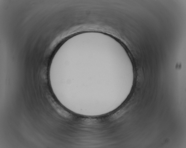 X0000092321499200710121512