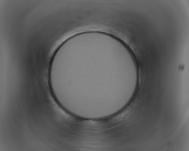 X0000092321500200710121512