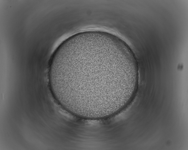 X0000092321501200710121512