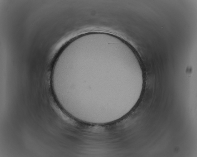 X0000092321503200710121512