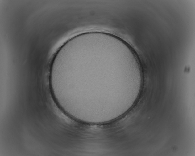 X0000092321504200710121512