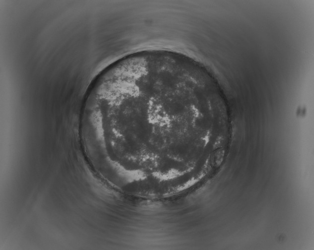 X0000092321505200710121512