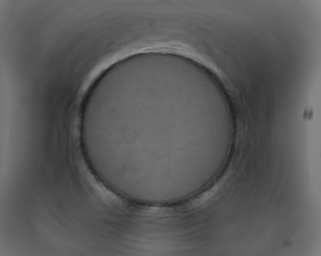 X0000092321506200710121512