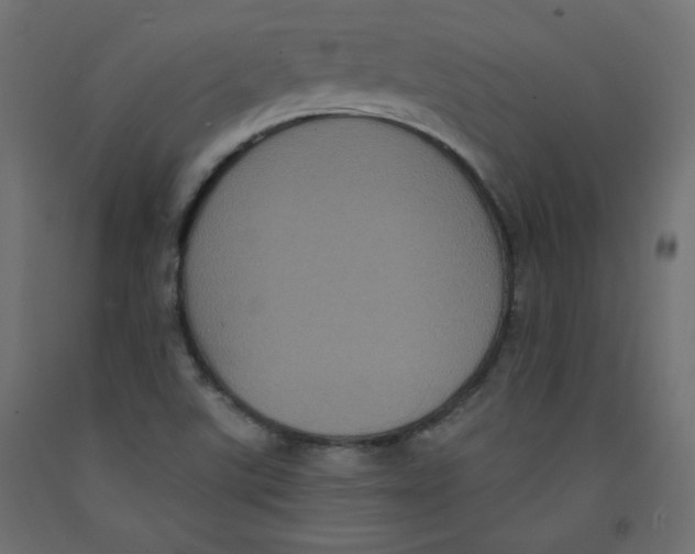 X0000092321507200710121512