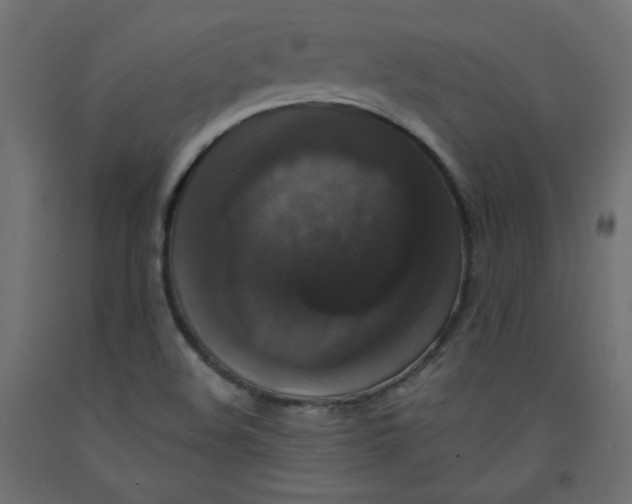 X0000092321508200710121512