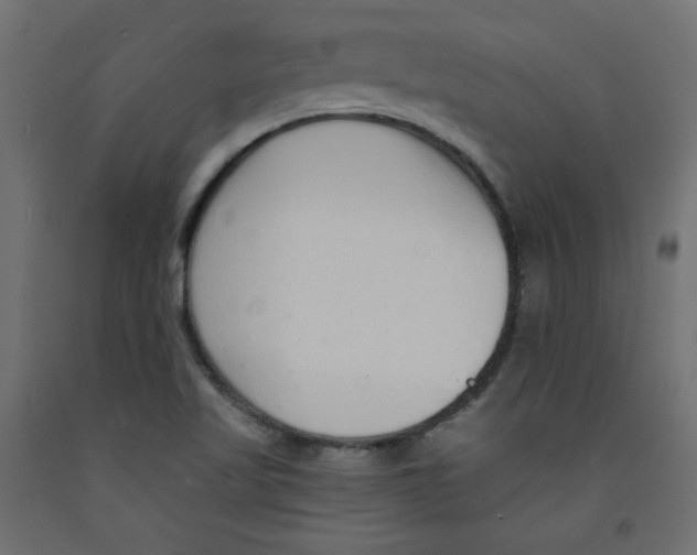 X0000092321509200710121512