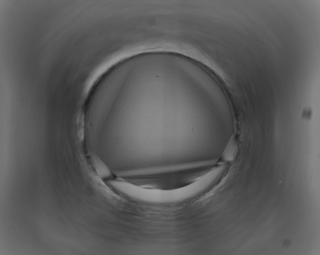 X0000092321510200710121512