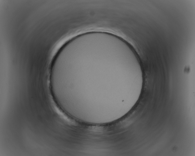 X0000092321511200710121512