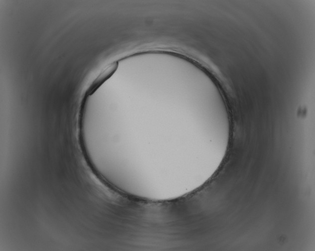 X0000092321512200710121512