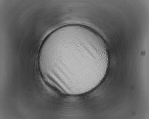 X0000092321513200710121512