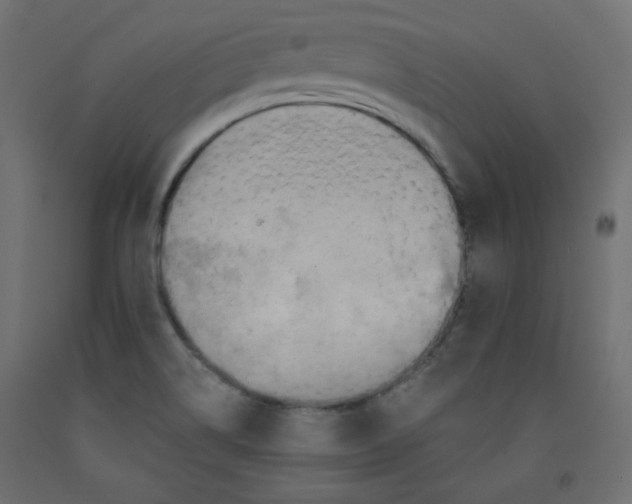 X0000092321514200710121512