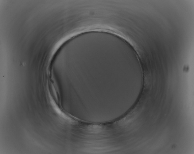 X0000092321515200710121512