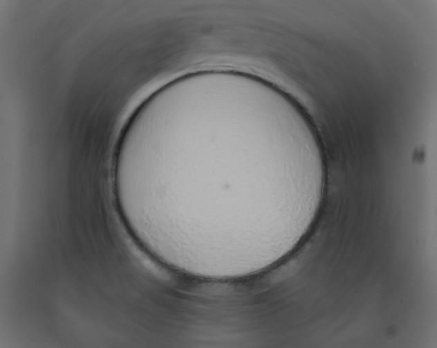 X0000092321517200710121512