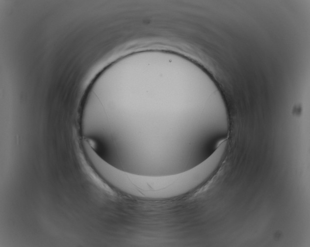 X0000092321518200710121512
