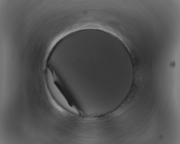 X0000092321519200710121512