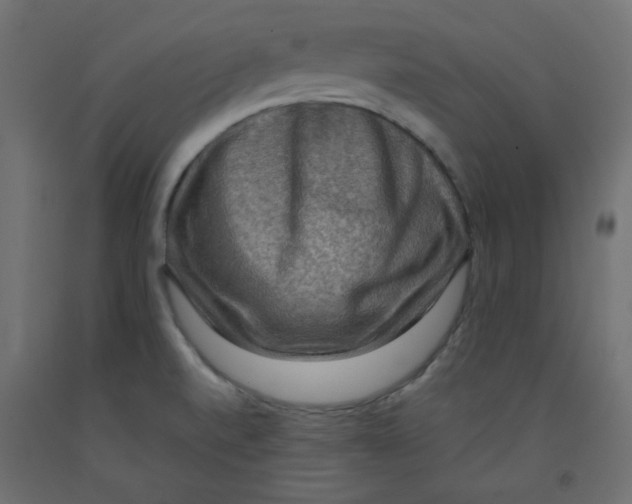 X0000092321520200710121512