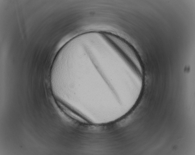 X0000092321521200710121512