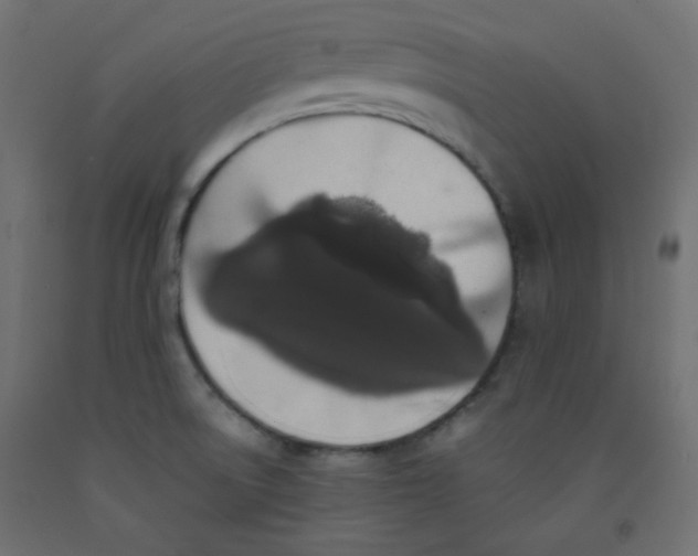 X0000092321522200710121512