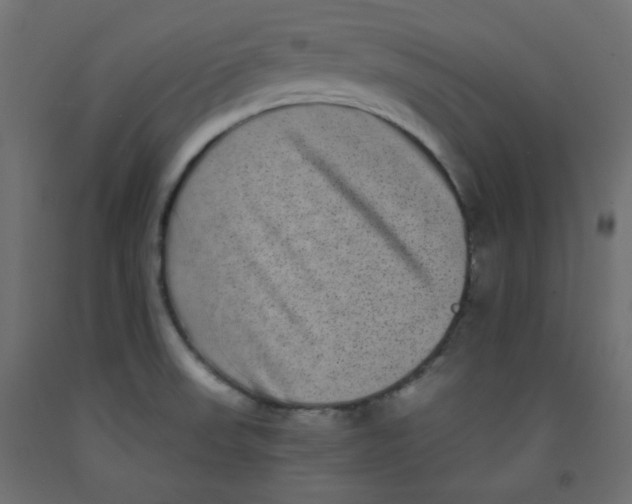 X0000092321523200710121512