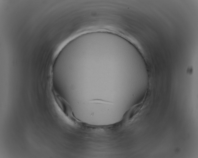 X0000092321524200710121512