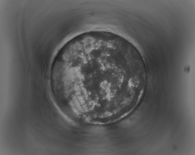 X0000092321525200710121512