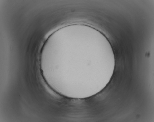 X0000092321526200710121512