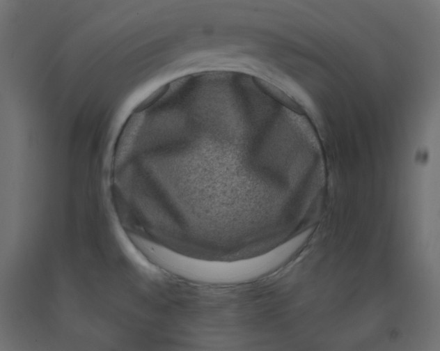 X0000092321528200710121512