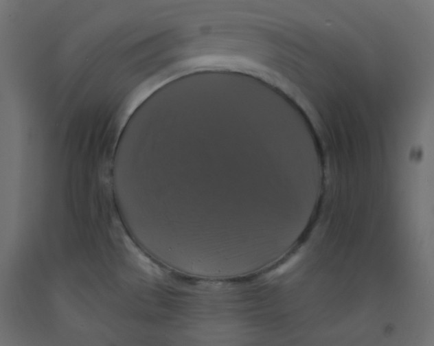 X0000092321529200710121512