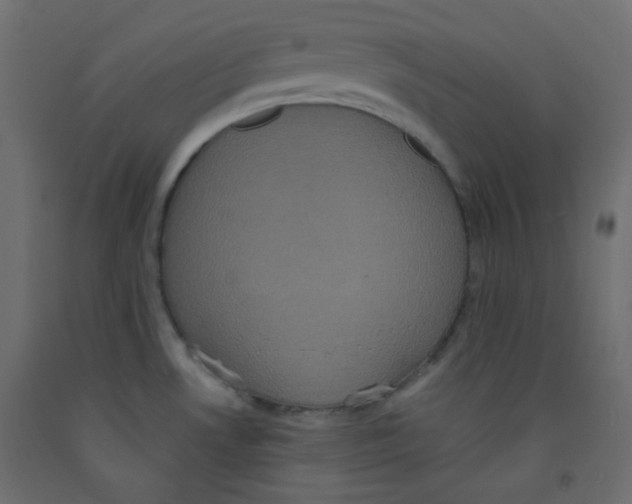 X0000092321530200710121512