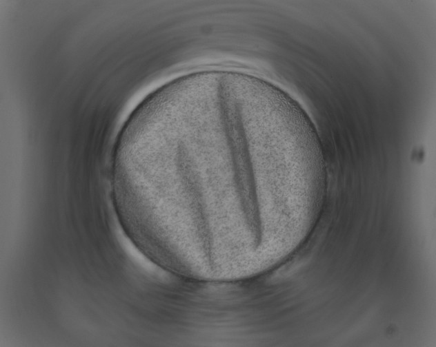 X0000092321531200710121512