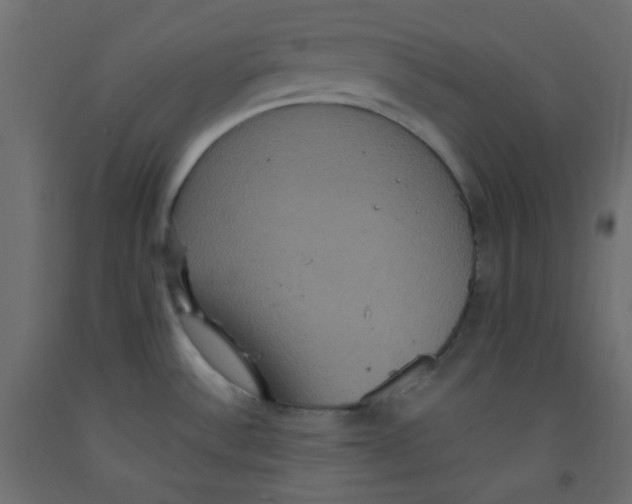 X0000092321532200710121512