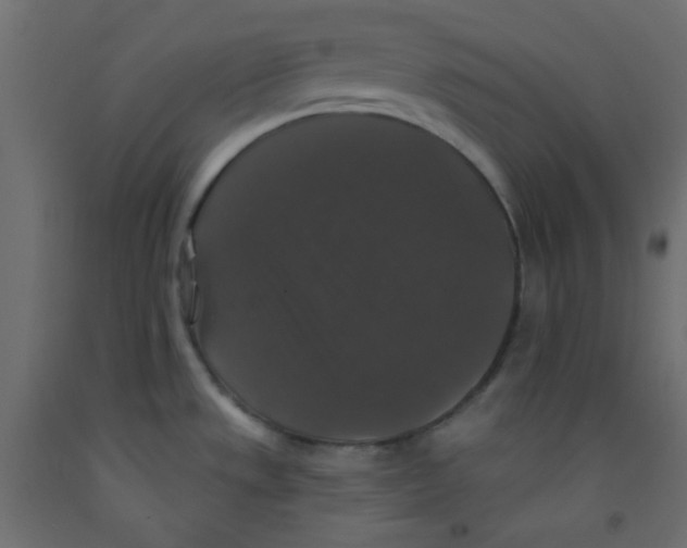 X0000092321533200710121512