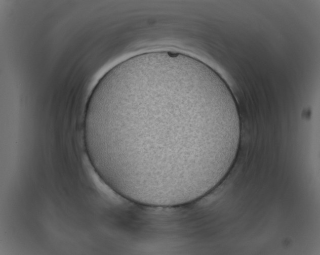 X0000092321534200710121513